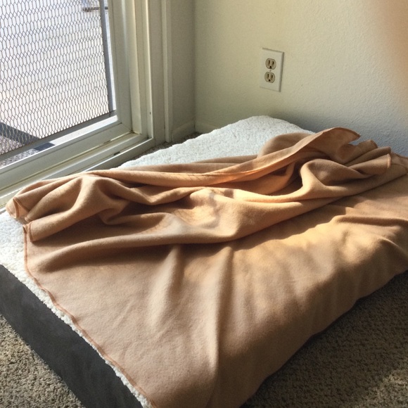 Imprest Pet 🐶 Dog Bed With Blanket Attached 🐾 - Picture 4 of 8